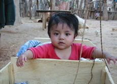 Un b&eacute;b&eacute; (Zapote)