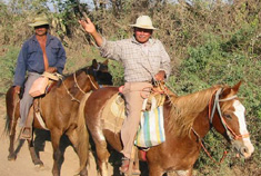Des Campesinos mexicains